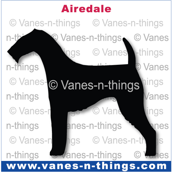004 Airedale