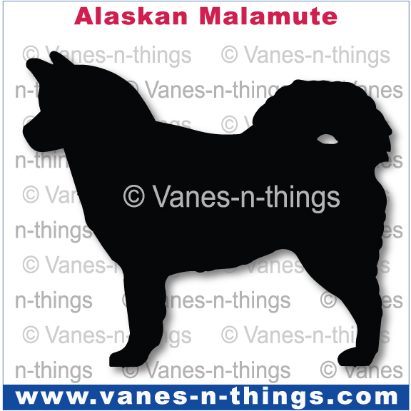 006 Alaskan Malamute