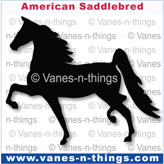501 American Saddlebred