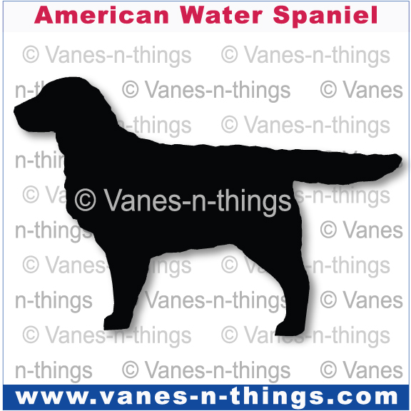 009 American Water Spaniel