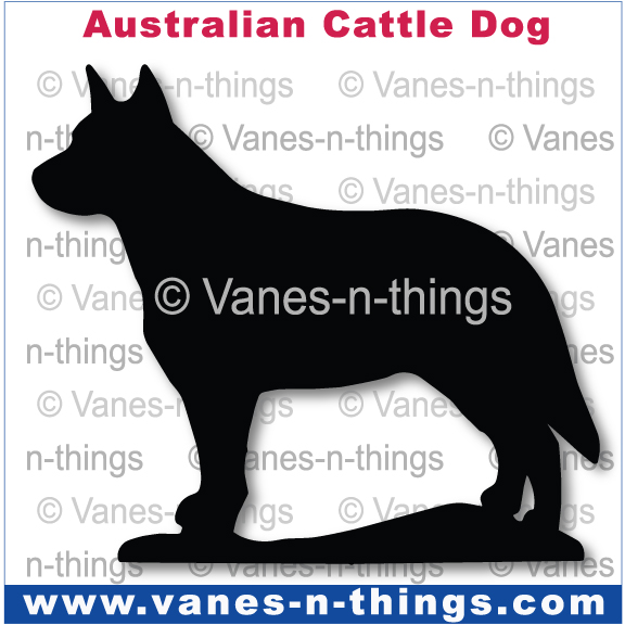 011 Australian Cattle Dog