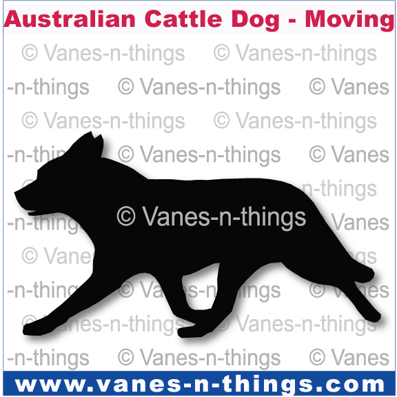 012 Australian Cattle Dog Moving Silhouette