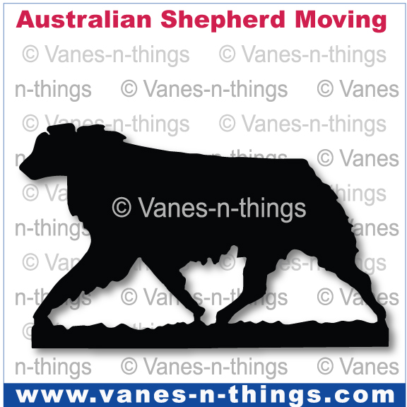 014 Australian Shepherd Moving