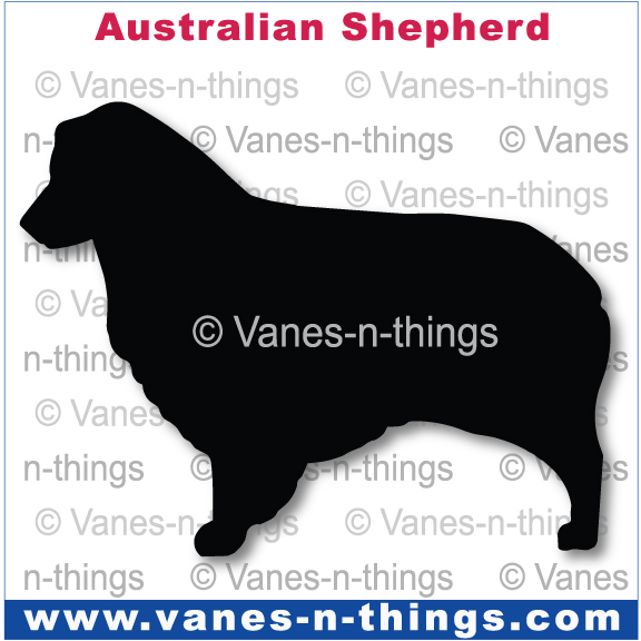 013 Australian Shepherd