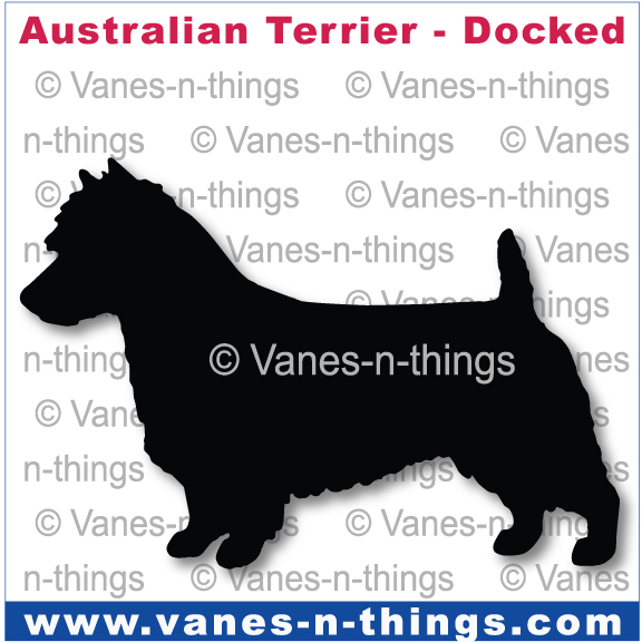 016 Australian Terrier Docked