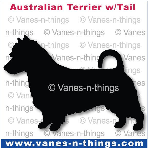 015 Australian Terrier