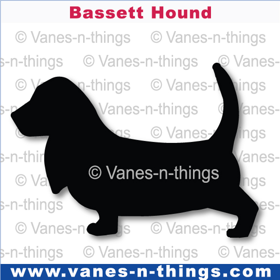 018 Bassett Hound