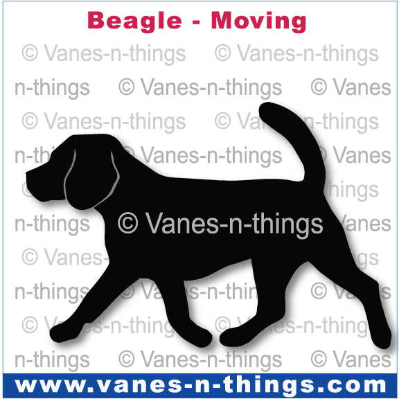 021 Beagle Moving