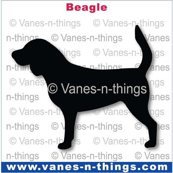 020 Beagle