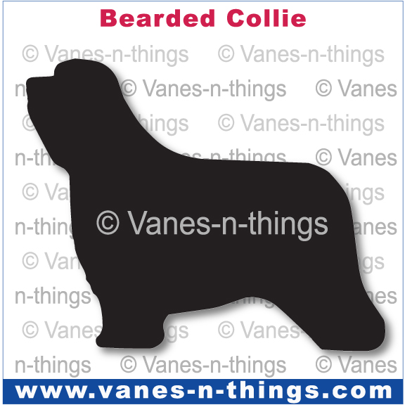 022 Bearded Collie