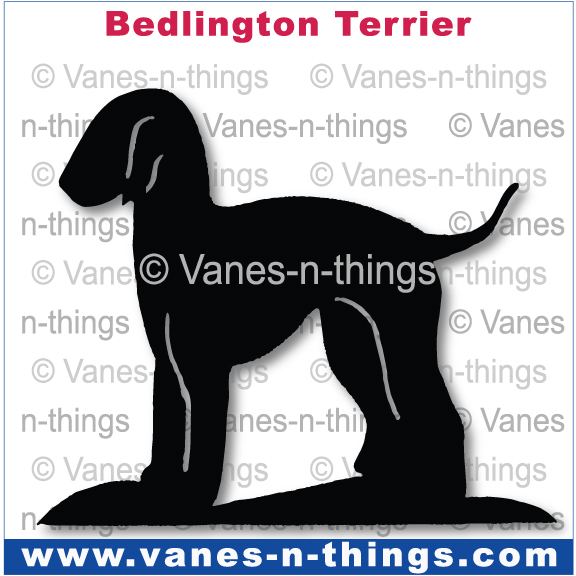 025 Bedlington Terrier