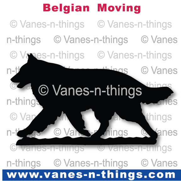029 Belgian Moving