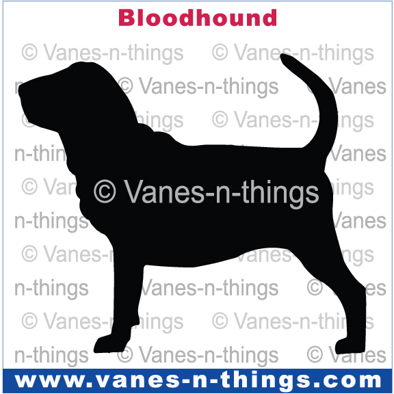 035 Bloodhound