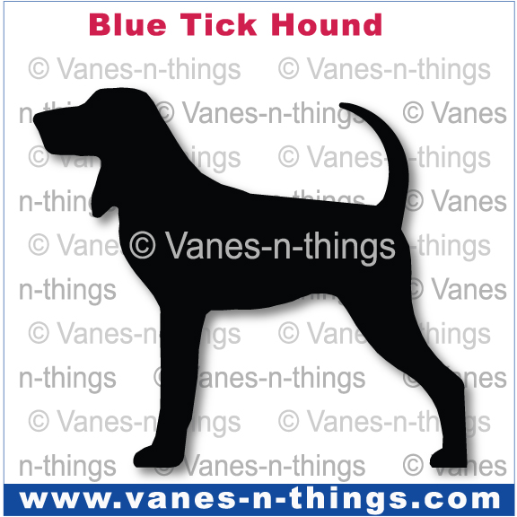 036 Blue Tick Hound