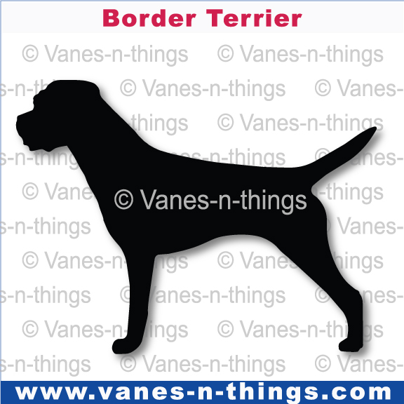039 Border Terrier