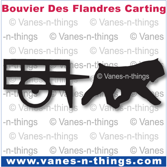045 Bouvier Carting