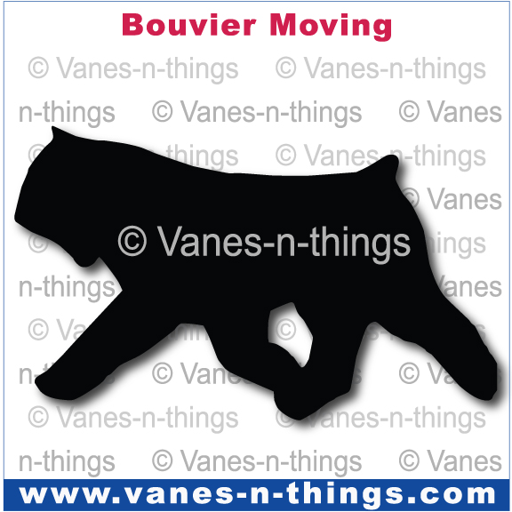 044 Bouvier Moving
