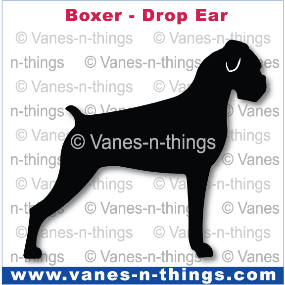 047 Boxer Drop Ear