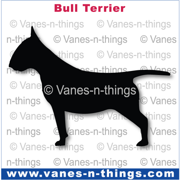 056 Bull Terrier