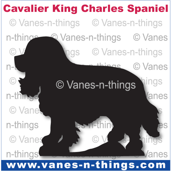 061 Cavalier King Charles Spaniel