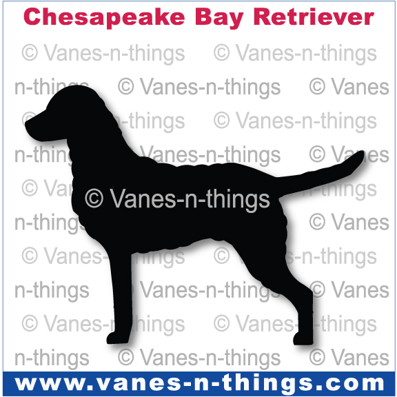 063 Chesapeake Bay Retriever