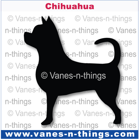 065 Chihuahua