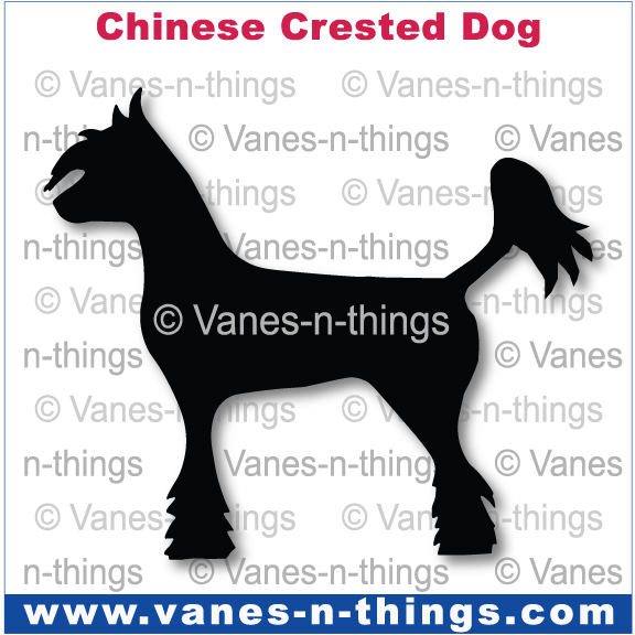 067 Chinese Crested Dog