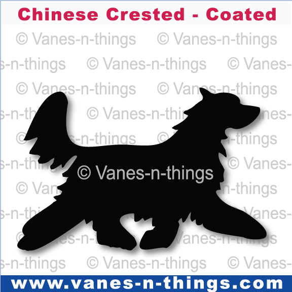 069 Chinese Crested Dog Moving (Long Coat)