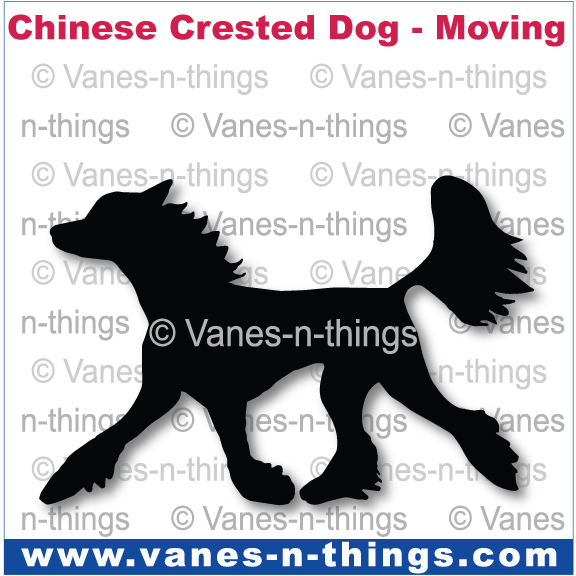 068 Chinese Crested Dog Moving