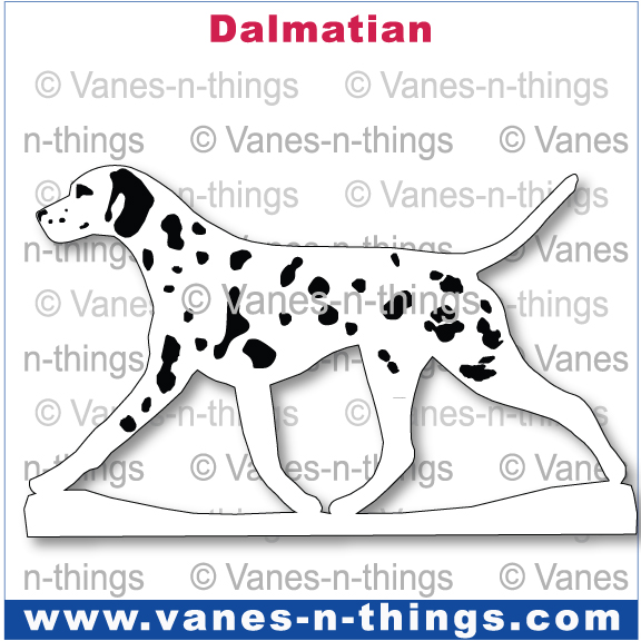 084 Dalmatian Moving