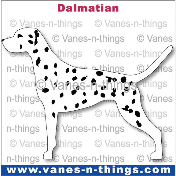 083 Dalmatian