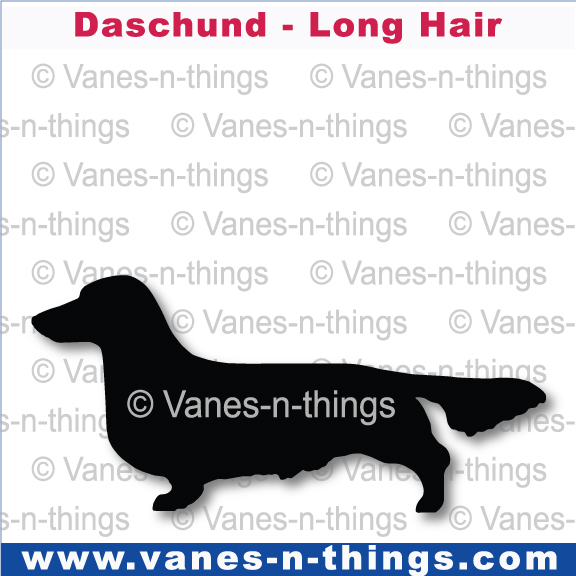 087 Dachshund Long Haired
