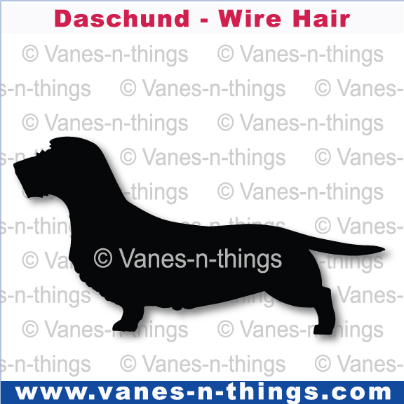 088 Dachshund Wired Haired