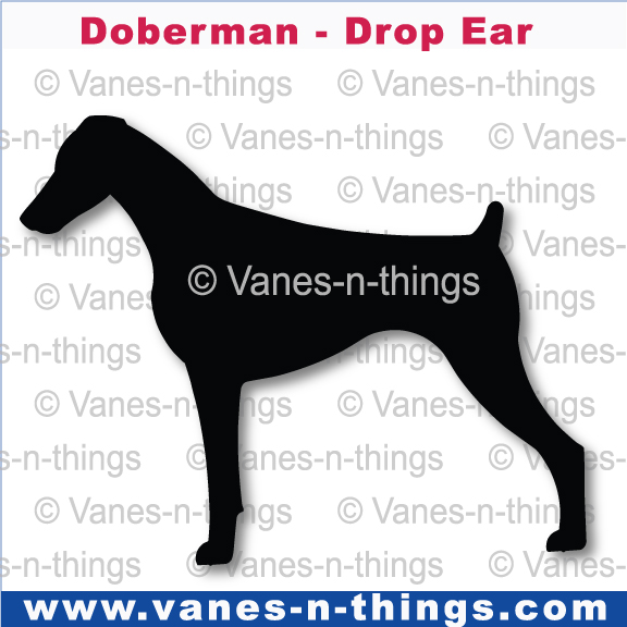 090 Doberman Drop Eared