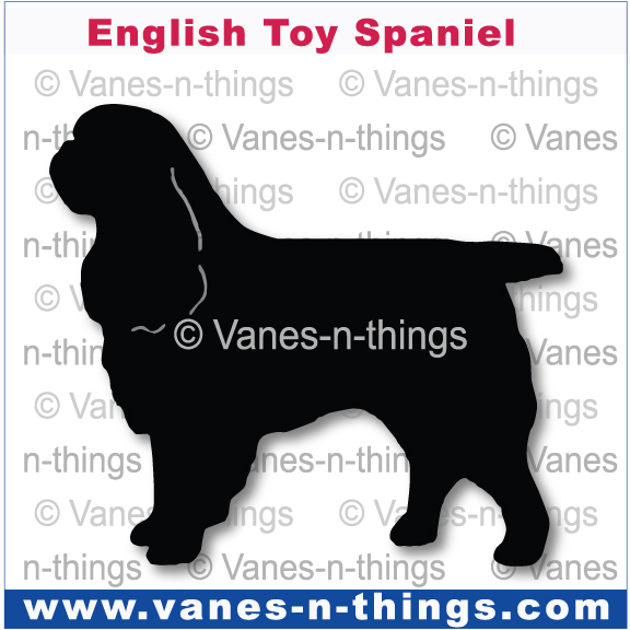 095 English Toy Spaniel