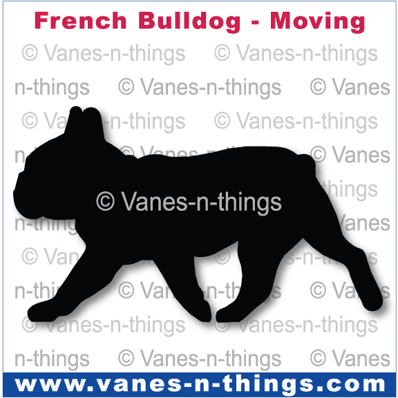 100 French Bulldog Moving