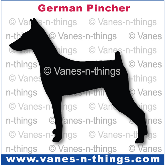 101 German Pincher