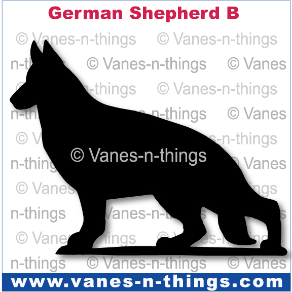 103 German Shepherd B
