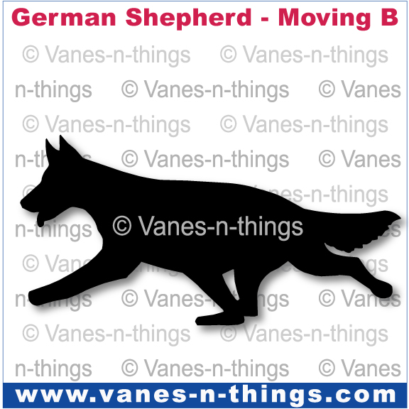 105 German Shepherd Moving B