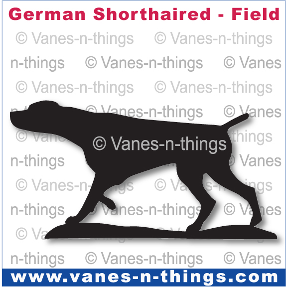 108 German Shorthaired Pointer - Pointing