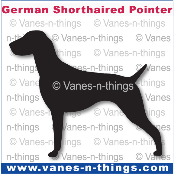 107 German Shorthaired Pointer