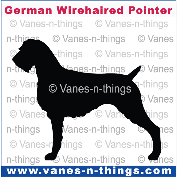 110 German Wirehaired Pointer