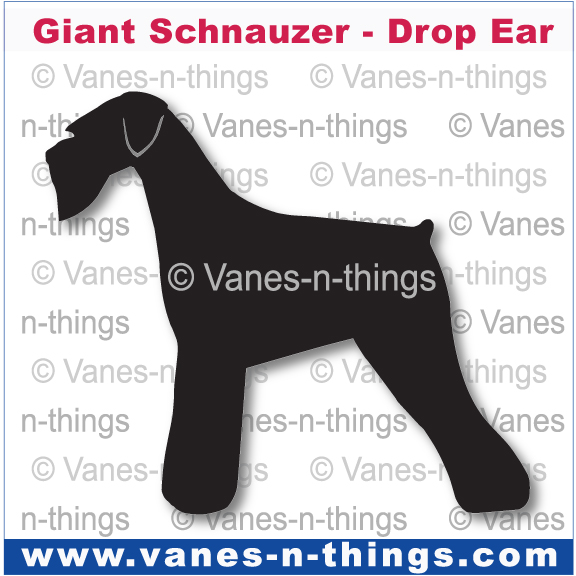 113 Giant Schnauzer Drop Ear