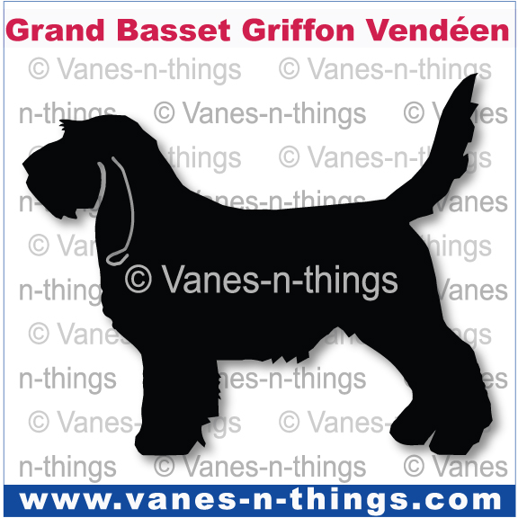121 Grand Basset Griffon Vendeer