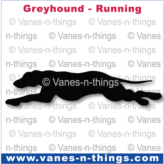127 Greyhound Running