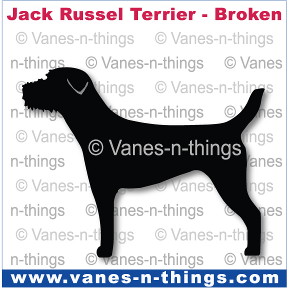 135 Jack Russell Ter Broken Coat