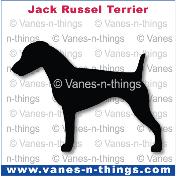 133 Jack Russell Terrier