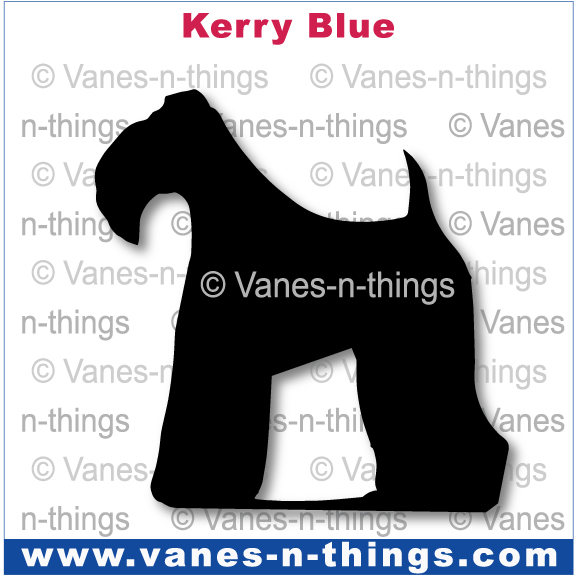138 Kerry Blue Terrier