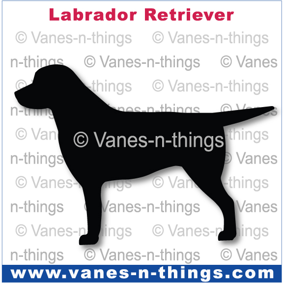 142 Labrador Retriever