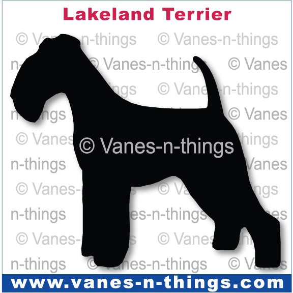 145 Lakeland Terier